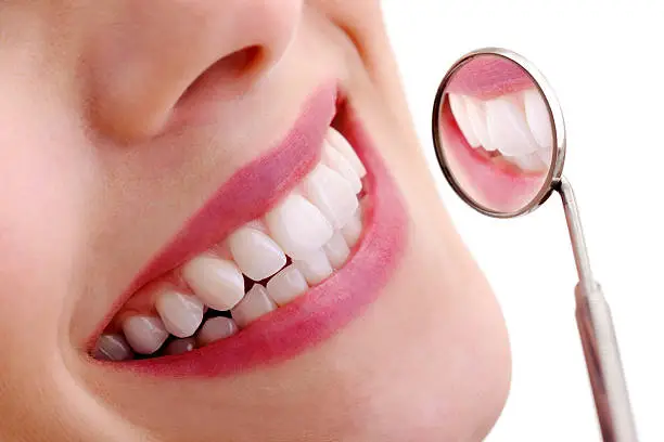 provadent dental support